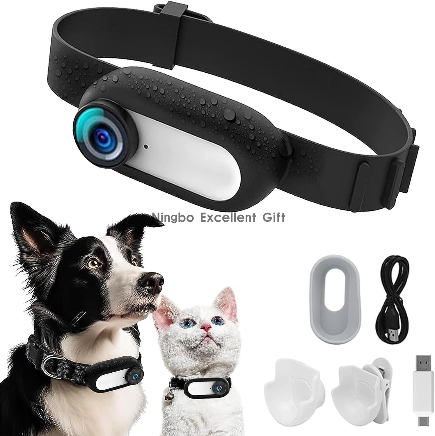 Mini camera on your dog's chai